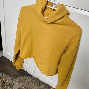 Aritzia TNA perfect hoodie cropped